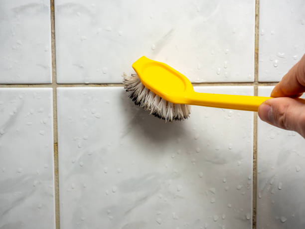 Best Professional Mold Removal  in Lees Summit, MO