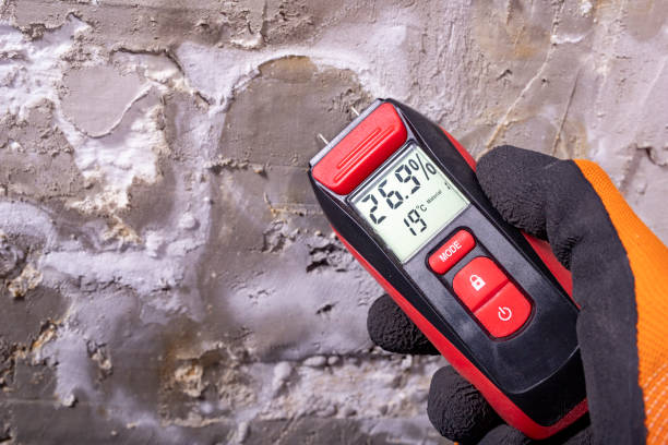 Best Same-Day Mold Removal  in Lees Summit, MO
