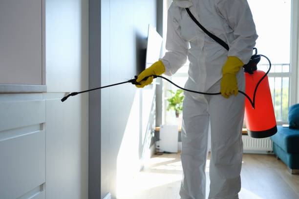Best Mold Testing  in Lees Summit, MO